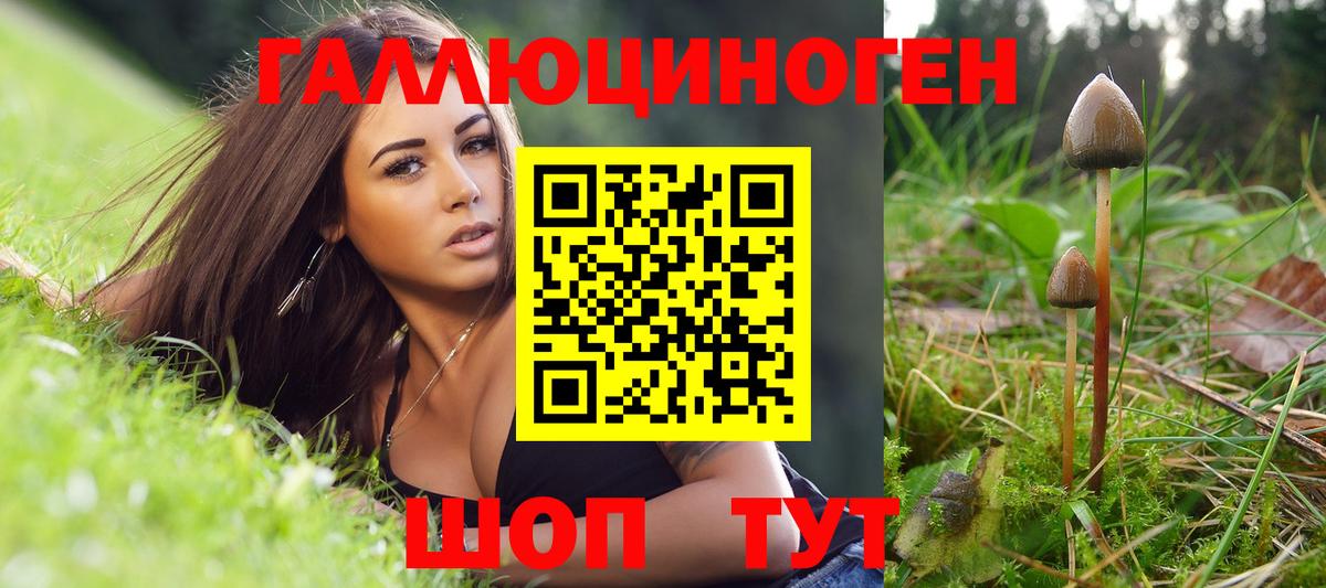 закладки  Псилоцибиновые грибы Cubensis  Ленинск-Кузнецкий  Вход с VPN  Псилоцибиновые грибы Cubensis 